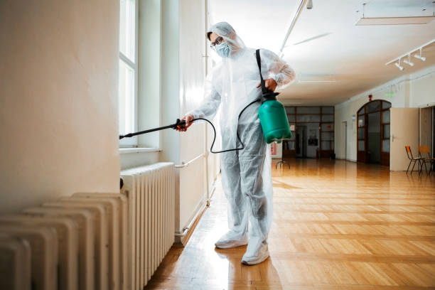 Emergency Pest Control in St Bernard, OH